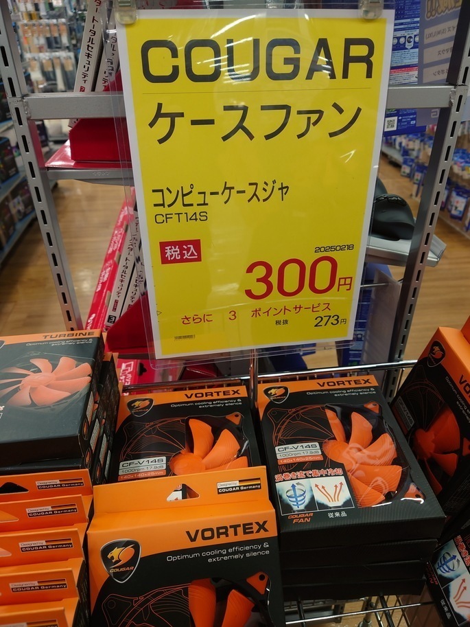 cat20250224130433