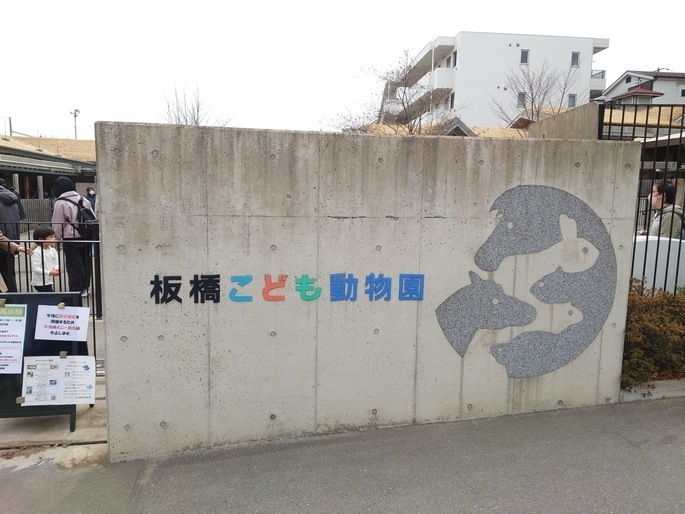 cat20250315101910