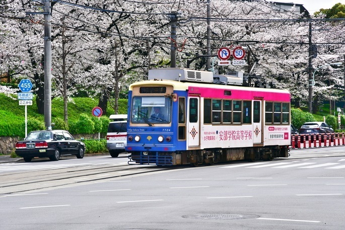 cat20250405105913